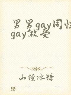 男男gay同性gay做受