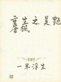 重生之美艳后宫唐枫