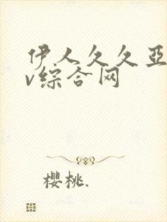 伊人久久亚洲av综合网封面