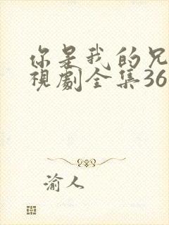 你是我的兄弟电视剧全集36集封面