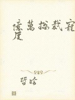 亿万总裁宠妻无度