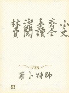 林洁秦齐小说免费阅读全文最新章节