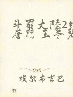 斗罗大陆2绝世唐门 王冬儿封面