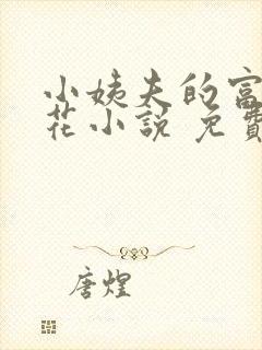 小姨夫的富贵娇花小说 免费阅读封面