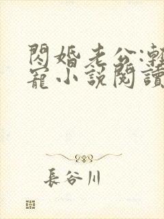 闪婚老公:轻点宠小说阅读全部封面