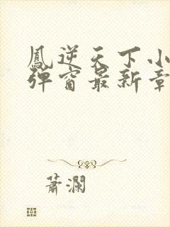 凤逆天下小说无弹窗最新章节封面