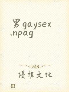 男gaysex.npag