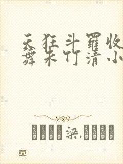 天狂斗罗收服小舞朱竹清小说