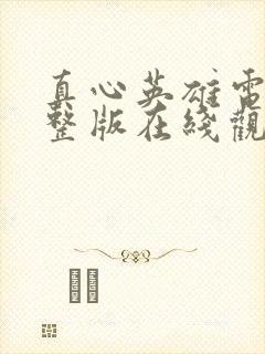 真心英雄电影完整版在线观看免费封面