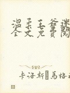 温柔王爷迷糊妃全文免费阅读