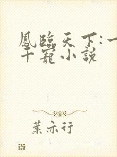 凤临天下:一后千宠小说