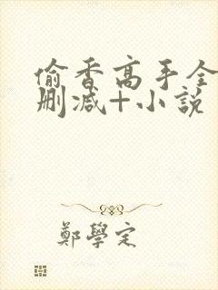 偷香高手全文无删减+小说