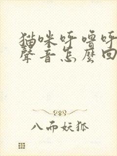 猫咪呼噜呼噜的声音怎么回事封面