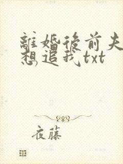 离婚后前夫总是想追我txt
