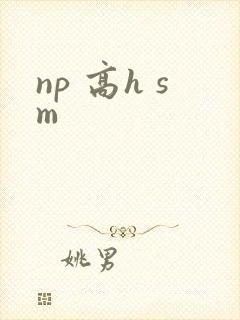 np 高h sm
