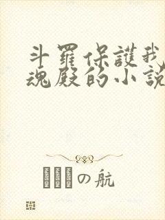 斗罗保护我方武魂殿的小说