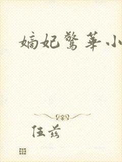 嫡妃惊华小说封面