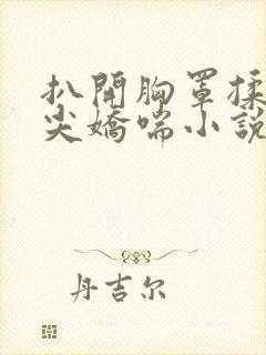 扒开胸罩揉她乳尖娇喘小说