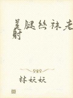 美腿丝袜老师内射