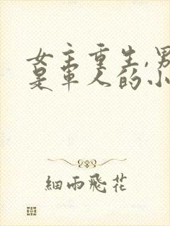 女主重生,男主是军人的小说