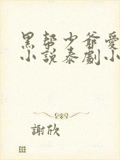 黑帮少爷爱上我小说泰剧小说