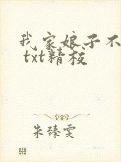 我家娘子不对劲 txt精校
