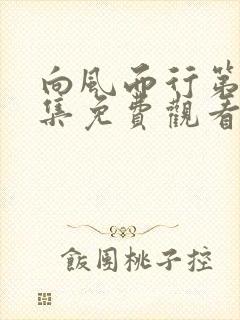 向风而行第19集免费观看全集