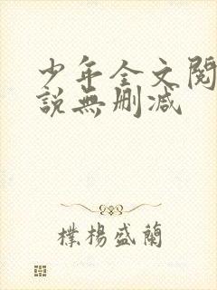 少年全文阅读小说无删减