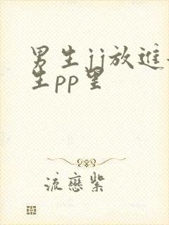 男生jj放进女生pp里