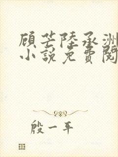 顾芒陆承洲正版小说免费阅读