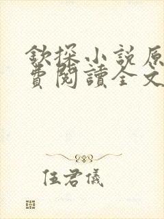 钦探小说原著免费阅读全文