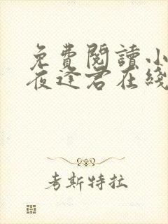 免费阅读小说此夜逢君在线阅读全文