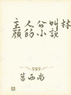 主人公叫林阳苏颜的小说