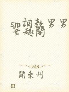 sm调教男男(笔趣阁