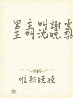 男主叫谢云迟女主叫沈晚梨的小说