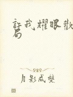 许我耀眼欢欢结局