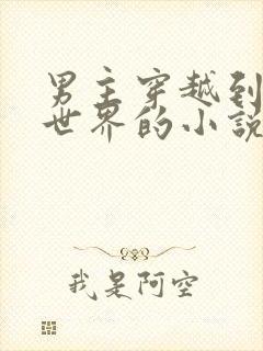 男主穿越到女尊世界的小说