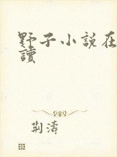 野子小说在线阅读
