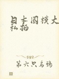 日本国模大尺度私拍