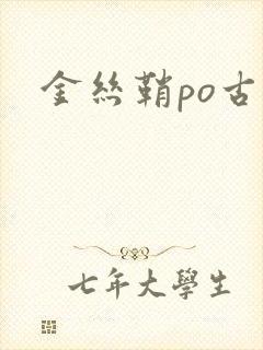 金丝鞘po古言封面