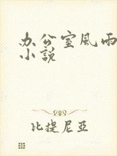 办公室风雨完整小说
