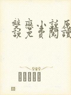 双恋小说原著小说免费阅读