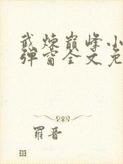 武炼巅峰小说无弹窗全文免费阅读