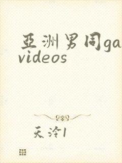 亚洲男同gayvideos封面