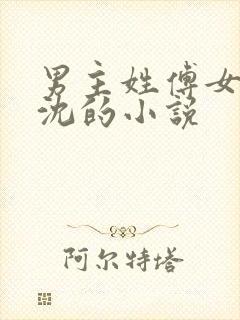 男主姓傅女主姓沈的小说