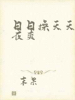 日日操天天操夜夜爽封面