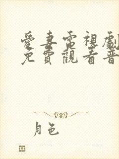 爱妻电视剧泰剧免费观看普通话