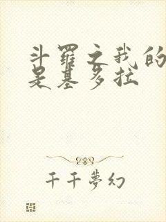 斗罗之我的武魂是基多拉