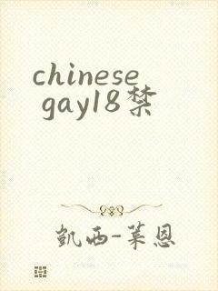chinese gay18禁