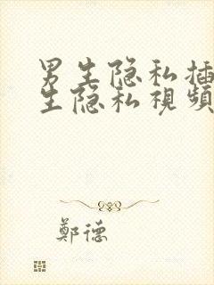 男生隐私插入女生隐私视频